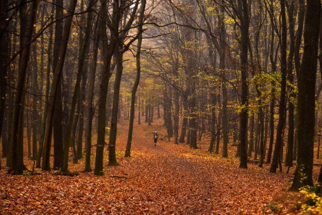 ברטיסלבה בחודש נובמבר - מזג אוויר, אירועים מיוחדים, אטרקציות ומידע על חודש זה