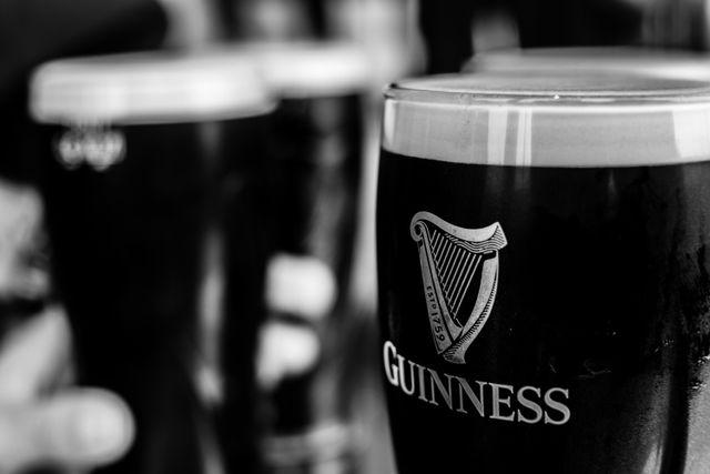The Dubliner Irish Pub