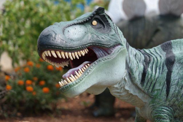 DinoPark ברטיסלבה - אטרקציה לילדים ליד גן החיות
