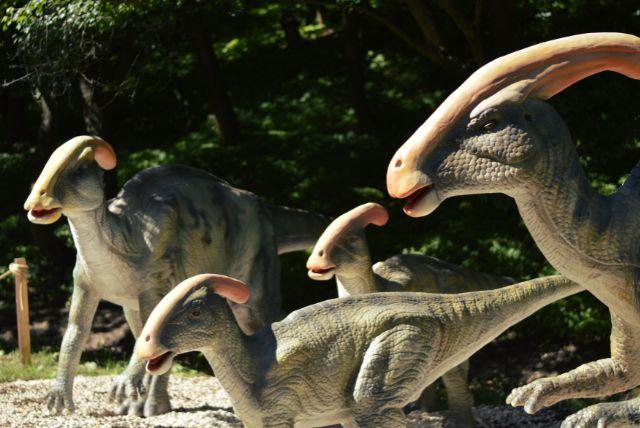 DinoPark ברטיסלבה - אטרקציה לילדים ליד גן החיות