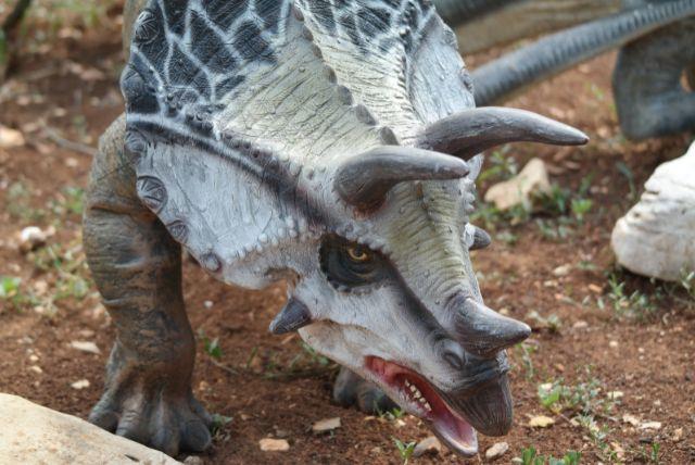 DinoPark ברטיסלבה - אטרקציה לילדים ליד גן החיות