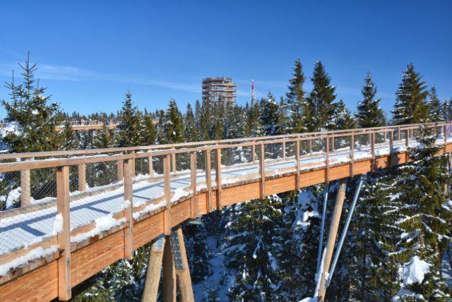 באכדלקה - Bachledka Treetop Walk מסלול הליכה בין צמרות עצים באזור הטטרה