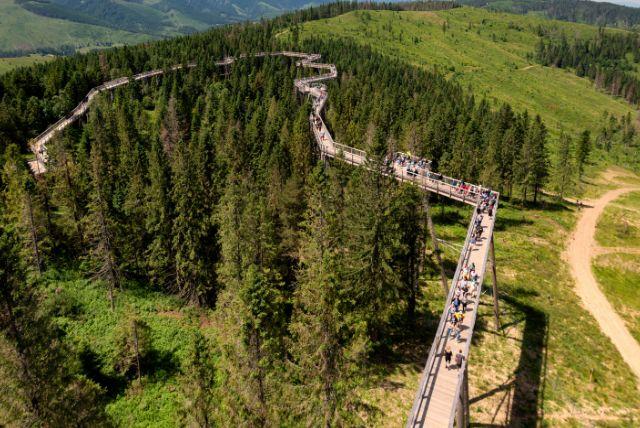 באכדלקה - Bachledka Treetop Walk מסלול הליכה בין צמרות עצים באזור הטטרה