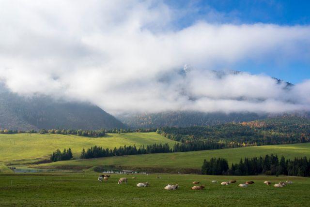 ז'דיאר (Ždiar) בהרי הביליאנסקה טטרה (Belianske Tatry) בצפון מזרח סלובקיה